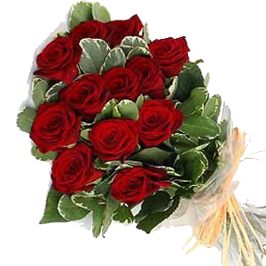 Red roses, Fresh flowers