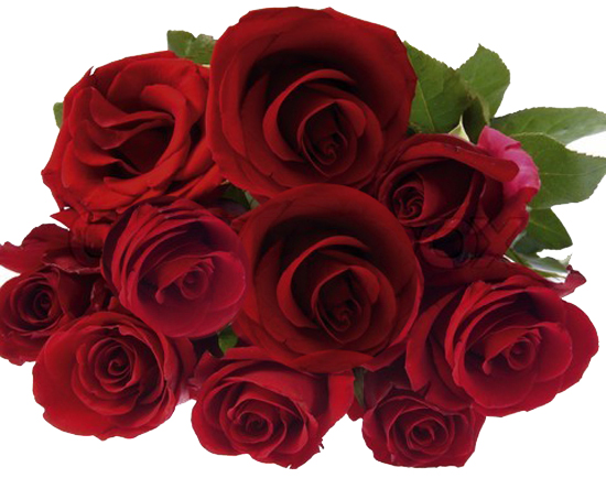 red roses bouquet